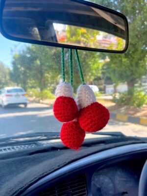 Shroomies on the Go!